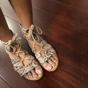Aerosoles Faux Snakeskin Gladiator Sandal